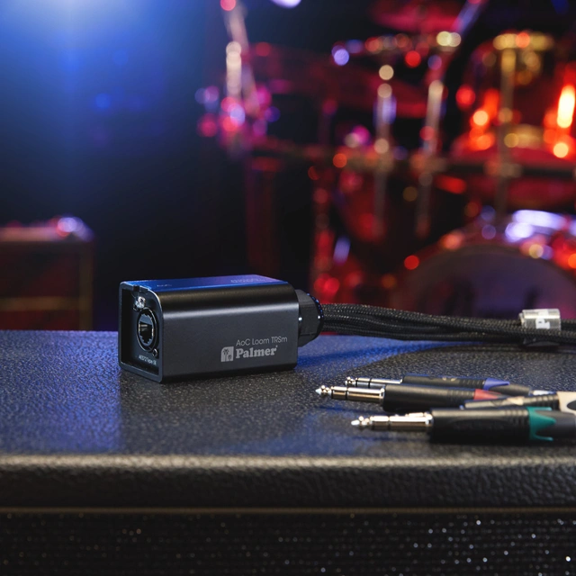 Palmer AoC Loom TRSm etherCON to 4 x 6.3 mm TRS jack 