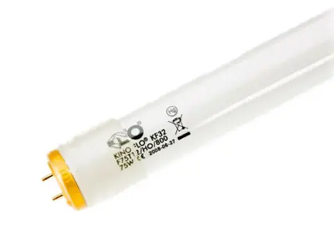 KinoF Tube 8ft Kino 800ma KF32 Safety-Co ated (2 pin) 