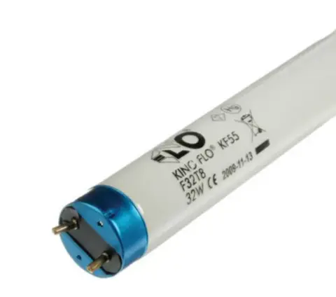 KinoF Tube 4ft T8 Kino KF55 