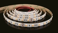 Protech W 6000K, 14,4w/m, 60Led/m IP65 5m