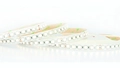 Protech W 3000K, 17,28w/m, 96Led/m IP67 5m