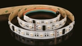 Protech RGBW 6000k, 19,2w/m, 60Led/m IP65 5m rull