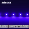 CT QOLORFLEX RGBI LED STRIP Indoor 12V Tape (5050-12-RGBI-60-5-20-1)