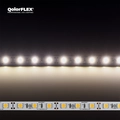 CT QOLORFLEX WARM  WHITE LED STRIP Indoor 12V Tape