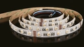 Protech RGBW 6000k, 19,2w/m 60Led/m, IP20, 5m
