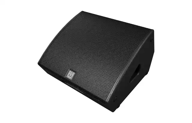 Martin Audio LE100 Stage Monitor Compact, two-way 12" passive monitor 