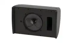 Martin Audio CDD10 Speaker Std Custom, standard