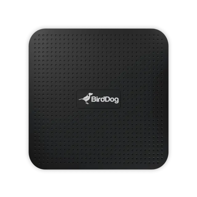 BirdDog PLAY 4K NDI Player med HDMI ut 