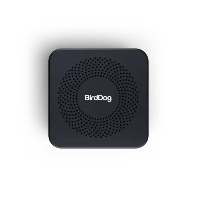 BirdDog PLAY Pro 4K NDI Player 