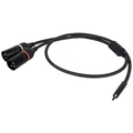 DAP FL112 - USB-C to 2 XLR/M 3P 384 kHz / 32 bit - 1.5 m