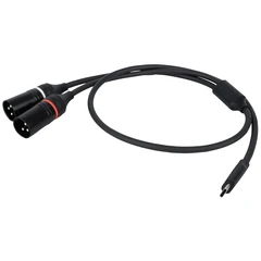DAP FL112 - USB-C to 2 XLR/M 3P 384 kHz / 32 bit - 1.5 m