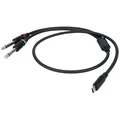 DAP FL111 - USB-C to 2 Mono Jack L/R 1.5 m